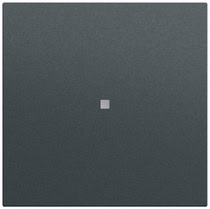 Wippe gerade Kontrollf. System 70 Anthrazit(lack.) Gira 349073