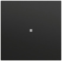 Wippe gerade Kontrollf. System 70 Schwarz m(lack.) Gira 349074