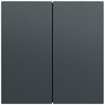 Wippe 2-fach gerade System 70 Anthrazit(lack.) Gira 349573