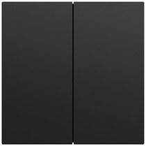Wippe 2-fach gerade System 70 Schwarz m(lack.) Gira 349574