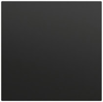 Wippe gerade System 70 Schwarz m(lack.) Gira 349674