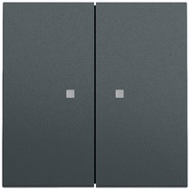 Wippe 2-fach Kontrollf. System 70 Anthrazit(lack.) Gira 363173