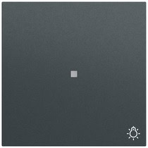 Wippe Kontrollf. + Symb. Licht System 70 Anthrazit(lack.) Gira 367473