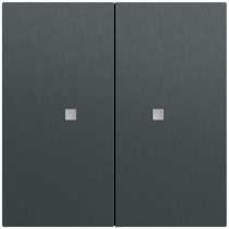 Wippe 2-fach unbedruckt Kontrollf. System 70 Anthrazit(lack.) Gira 536973