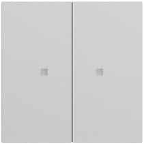Wippe 2-fach unbedruckt Kontrollf. System 70 Grau m(lack.) Gira 536976