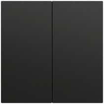 Wippe 2-fach unbedruckt System 70 Schwarz m(lack.) Gira 537074