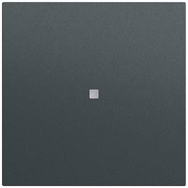 Wippe 1-fach unbedruckt Kontrollf. System 70 Anthrazit(lack.) Gira 537173