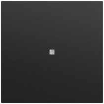 Wippe 1-fach unbedruckt Kontrollf. System 70 Schwarz m(lack.) Gira 537174