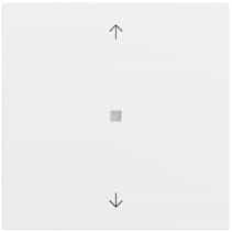 S3000 Bedienaufs. BT Pfeile System 70 Reinweiß m(lack.) Gira 538272