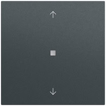 S3000 Bedienaufs. BT Pfeile System 70 Anthrazit(lack.) Gira 538273
