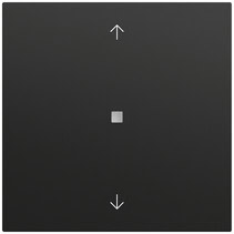 S3000 Bedienaufs. BT Pfeile System 70 Schwarz m(lack.) Gira 538274