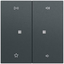 Wippe 2-fach Audiostrg System 70 Anthrazit(lack.) Gira 538473