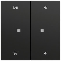 Wippe 2-fach Audiostrg System 70 Schwarz m(lack.) Gira 538474