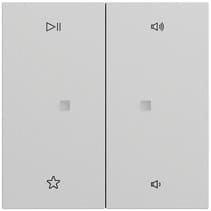 Wippe 2-fach Audiostrg System 70 Grau m(lack.) Gira 538476