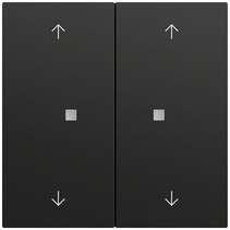 Wippe 2-fach Pfeile Kontrollf. System 70 Schwarz m(lack.) Gira 538674