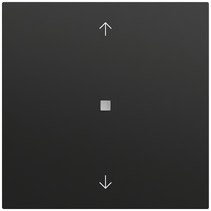 Wippe 1-fach Pfeile Kontrollf. System 70 Schwarz m(lack.) Gira 538874