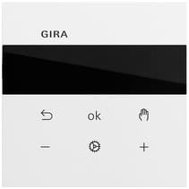 S3000 RTR Display System 70 Reinweiß Gira 539370