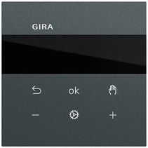 S3000 RTR Display System 70 Anthrazit(lack.) Gira 539373