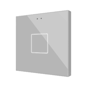Flat RGB 1. Kapazitiver Taster - 1 Taste - Silber Zennio ZVIFR1S